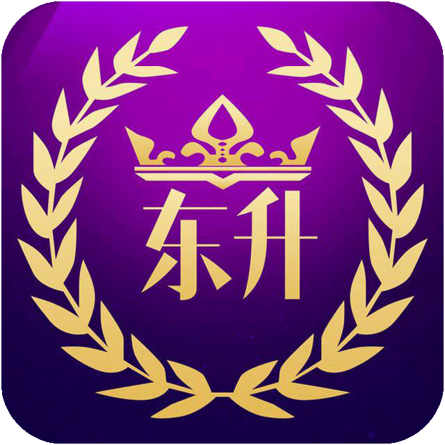 【担保】东升国际